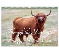 Calendrier 2027 · Through the Year with Shaggy Heilan' Coos | Gentle, good-natured and incredibly cuddly · Experience the year with these… · DIN A3 paysage · CALVENDO Calendrier mural