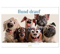 Calendrier 2027 · Un chien dessus | Un calendrier avec des têtes espiègles, de grands yeux et beaucoup de pagaille · DIN A3 paysage · CALVENDO Calendrier mural