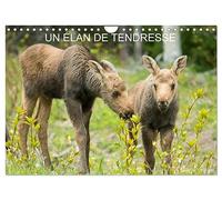 Calendrier 2027 · Un élan de tendresse