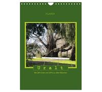 Calendrier 2027 · Uralt - À la découverte des arbres centenaires grâce au | code QR et au GPS · À la découverte des vieux arbres grâce au code QR et au GPS · DIN A4 portrait · CALVENDO Calendrier mural