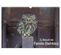 Calendrier 2027 · US Version · À la rencontre de la famille des chouettes | naines · Extrait de la vie d'une petite famille de chouettes · DIN A3 paysage · CALVENDO Calendrier mural
