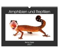 Calendrier 2027 · US Version · Amphibiens et reptiles | Amphibiens et reptiles du monde entier · DIN A3 paysage · CALVENDO Calendrier mural
