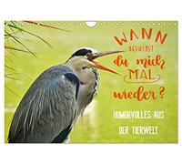 Calendrier 2027 · US Version · Anecdotes drôles du monde animal | Des photos d'animaux pleines de gaieté accompagnées de petites citations · DIN A4 paysage · CALVENDO Calendrier mural