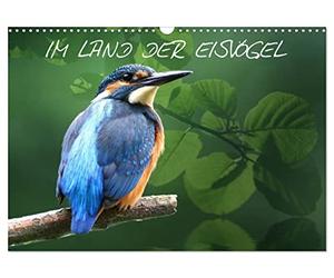 Calendrier 2027 · US Version · AU PAYS DES MARTINS-PÊCHEURS | Les martins-pêcheurs dans leur milieu naturel · DIN A3 paysage · CALVENDO Calendrier mural