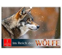 Calendrier 2027 · US Version · Au royaume des loups | Des chasseurs majestueux: au plus près d'eux · DIN A3 paysage · CALVENDO Calendrier mural