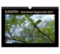 Calendrier 2027 · US Version · Aventure dans la forêt tropicale de SUMATRA | Les forêts tropicales de Sumatra, par leur beauté et leur diversité · DIN A4 paysage · CALVENDO Calendrier mural
