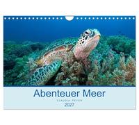Calendrier 2027 · US Version · Aventure sous-marine | Images sous-marines tournées dans les eaux tropicales autour de l'Indonésie… · DIN A4 paysage · CALVENDO Calendrier mural