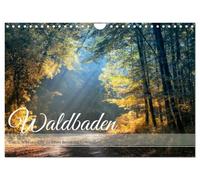 Calendrier 2027 · US Version · Bain de forêt - Vers une meilleure santé | grâce à la pleine conscience · Plongez-vous dans la tranquillité apaisante de… · DIN A4 paysage · CALVENDO Calendrier mural