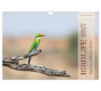 Calendrier 2027 · US Version · Birdlife - Les oiseaux d'Afrique australe | Plongez dans l'univers des oiseaux d'Afrique australe · DIN A4 paysage · CALVENDO Calendrier mural