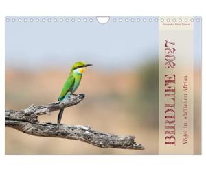 Calendrier 2027 · US Version · Birdlife - Les oiseaux d'Afrique australe | Plongez dans l'univers des oiseaux d'Afrique australe · DIN A4 paysage · CALVENDO Calendrier mural