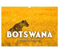 Calendrier 2027 · US Version · Botswana - Une nature sauvage magnifique | Une biodiversité à couper le souffle · DIN A3 paysage · CALVENDO Calendrier mural