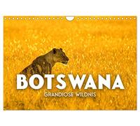 Calendrier 2027 · US Version · Botswana - Une nature sauvage magnifique | Une biodiversité à couper le souffle · DIN A4 paysage · CALVENDO Calendrier mural