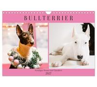 Calendrier 2027 · US Version · Bull Terrier. Nature et caractère joyeux | Un chien élégant et sûr de lui, qui ne se laisse pas impressionner par quoi que… · DIN A4 paysage · CALVENDO Calendrier mural