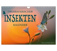Calendrier 2027 · US Version · Calendrier des insectes de Haute-Bavière | Comment ces bipèdes à six pattes stimulent l'imagination · DIN A4 paysage · CALVENDO Calendrier mural
