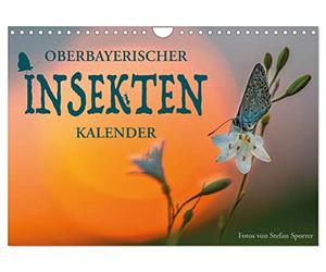 Calendrier 2027 · US Version · Calendrier des insectes de Haute-Bavière | Comment ces bipèdes à six pattes stimulent l'imagination · DIN A4 paysage · CALVENDO Calendrier mural