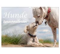 Calendrier 2027 · US Version · Calendrier « Les chiens parlent | Les chiens ont le sens de l'humour · DIN A3 paysage · CALVENDO Calendrier mural