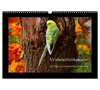 Calendrier 2027 · US Version · Calendrier pour perruches avec des conseils | pour une alimentation adaptée à l'espèce · Ce calendrier exceptionnel consacré… · DIN A3 paysage · CALVENDO Calendrier mural