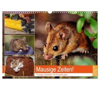 Calendrier 2027 · US Version · C'est l'heure des souris ! De mignons petits | bonhommes aux yeux brillants · Des souris aux couleurs ravissantes et leurs… · DIN A3 paysage · CALVENDO Calendrier mural