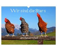 Calendrier 2027 · US Version · C'est nous, les stars de la ferme | Rencontres avec les animaux dans les fermes autrichiennes · DIN A3 paysage · CALVENDO Calendrier mural