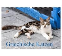 Calendrier 2027 · US Version · Chats grecs | Les chats des îles grecques · DIN A3 paysage · CALVENDO Calendrier mural