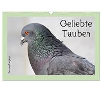 Calendrier 2027 · US Version · Chères colombes | Instantanés évocateurs de magnifiques pigeons urbains · DIN A3 paysage · CALVENDO Calendrier mural