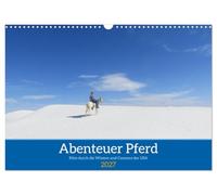 Calendrier 2027 · US Version · Cheval d'aventure - Randonnées à cheval à | travers les déserts et les canyons des États-Unis · Balades à cheval à travers… · DIN A3 paysage · CALVENDO Calendrier mural