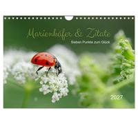 Calendrier 2027 · US Version · Coccinelles et citations | Sept clés du bonheur · Calendrier « Lucky Beetle » : citations et photos · DIN A4 paysage · CALVENDO Calendrier mural