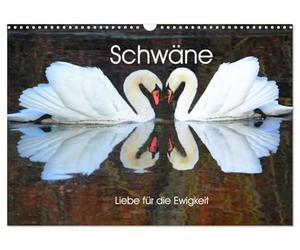 Calendrier 2027 · US Version · Cygnes, amour pour l'éternité | Ces enregistrements m'ont demandé beaucoup de temps et de patience · DIN A3 paysage · CALVENDO Calendrier mural