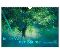 Calendrier 2027 · US Version · Dans le monde des arbres | Les arbres, nos merveilleux compagnons · DIN A4 paysage · CALVENDO Calendrier mural