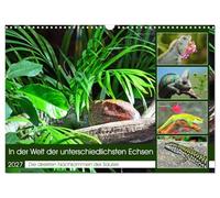 Calendrier 2027 · US Version · Dans l'univers des lézards les plus variés | Les descendants directs des dinosaures · DIN A3 paysage · CALVENDO Calendrier mural
