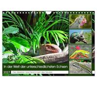Calendrier 2027 · US Version · Dans l'univers des lézards les plus variés | Les descendants directs des dinosaures · DIN A4 paysage · CALVENDO Calendrier mural
