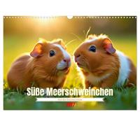 Calendrier 2027 · US Version · De mignons cochons d'Inde | Ils ne font pas souvent de bip, mais ils me disent quand même « je t'aime · DIN A3 paysage · CALVENDO Calendrier mural