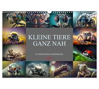 Calendrier 2027 · US Version · De petits animaux tout près | Des photos macro colorées d'insectes, d'araignées et de petits animaux · DIN A3 paysage · CALVENDO Calendrier mural