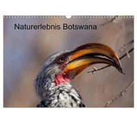 Calendrier 2027 · US Version · Découverte de la nature au Botswana | Impressions du parc de Chobe et du delta de l'Okavango · DIN A3 paysage · CALVENDO Calendrier mural