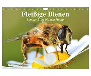 Calendrier 2027 · US Version · Des abeilles très actives | De la fleur au miel · Des ouvrières infatigables et des productrices d’un miel… · DIN A4 paysage · CALVENDO Calendrier mural