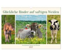 Calendrier 2027 · US Version · Des bovins heureux dans des pâturages | luxuriants · Un aperçu des différentes races bovines · DIN A3 paysage · CALVENDO Calendrier mural