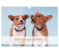 Calendrier 2027 · US Version · Des chiots basenji trop mignons | Les adorables chiots basenji, mois après mois · DIN A4 paysage · CALVENDO Calendrier mural