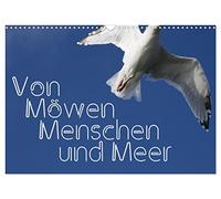 Calendrier 2027 · US Version · Des mouettes, des gens et de la mer | L'homme et la mouette : une histoire qui captive toujours autant · DIN A3 paysage · CALVENDO Calendrier mural