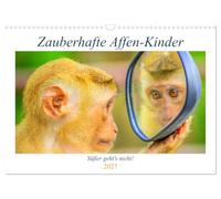 Calendrier 2027 · US Version · Des petits singes magiques | On ne peut pas faire plus mignon que ça · De jolies petites fées dont on tombe… · DIN A3 paysage · CALVENDO Calendrier mural