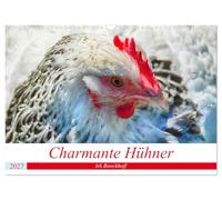 Calendrier 2027 · US Version · Des poules adorables | Des poulets qui ont de l'âme et du caractère · DIN A3 paysage · CALVENDO Calendrier mural