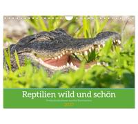 Calendrier 2027 · US Version · Des reptiles sauvages et magnifiques | Des photographies exceptionnelles de reptiles vivant à l'état sauvage sur trois… · DIN A4 paysage · CALVENDO Calendrier mural