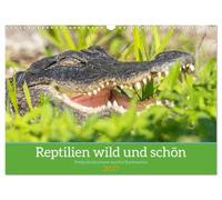 Calendrier 2027 · US Version · Des reptiles sauvages et magnifiques | Des photographies exceptionnelles de reptiles vivant à l'état sauvage sur trois… · DIN A3 paysage · CALVENDO Calendrier mural