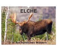 Calendrier 2027 · US Version · ELK Dans les forêts du nord | Partons à la rencontre des orignaux dans les forêts du nord du Québec · DIN A3 paysage · CALVENDO Calendrier mural