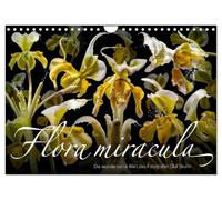 Calendrier 2027 · US Version · Flora miracula - L'univers merveilleux du | photographe Olaf Bruhn · Sans doute l'un des calendriers floraux les plus… · DIN A4 paysage · CALVENDO Calendrier mural