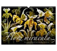 Calendrier 2027 · US Version · Flora miracula - L'univers merveilleux du | photographe Olaf Bruhn · Sans doute l'un des calendriers floraux les plus… · DIN A3 paysage · CALVENDO Calendrier mural