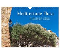 Calendrier 2027 · US Version · Flore méditerranéenne - Plantes du Sud | Les plantes méditerranéennes caractérisent les villes et les paysages du… · DIN A4 paysage · CALVENDO Calendrier mural