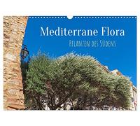 Calendrier 2027 · US Version · Flore méditerranéenne - Plantes du Sud | Les plantes méditerranéennes caractérisent les villes et les paysages du… · DIN A3 paysage · CALVENDO Calendrier mural
