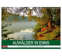 Calendrier 2027 · US Version · Forêts riveraines près de l'Enns | Une année s'écoule dans les forêts riveraines de l'Enns et du Danube · DIN A4 paysage · CALVENDO Calendrier mural