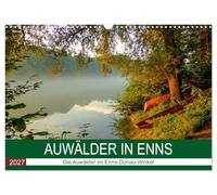 Calendrier 2027 · US Version · Forêts riveraines près de l'Enns | Une année s'écoule dans les forêts riveraines de l'Enns et du Danube · DIN A3 paysage · CALVENDO Calendrier mural