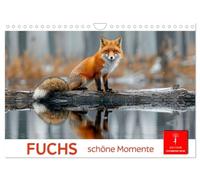 Calendrier 2027 · US Version · Fox - de beaux moments | L'univers des renards à l'état sauvage · DIN A4 paysage · CALVENDO Calendrier mural